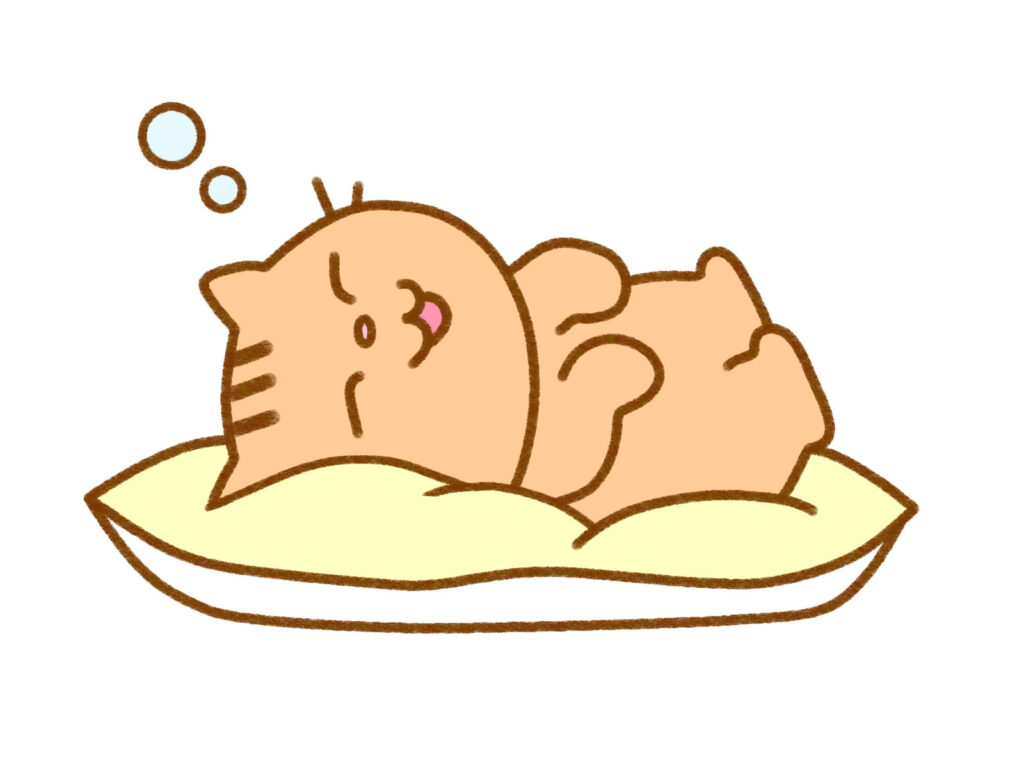 クッション眠る茶トラ猫