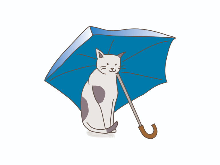 猫と傘