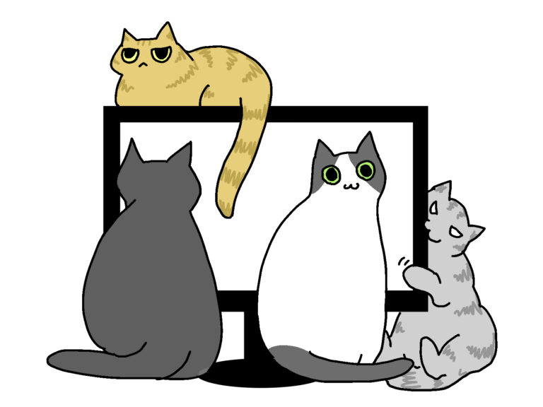 テレビ、モニターの前に立ちふさがる猫