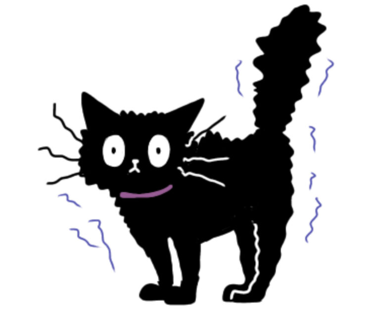 怖がるクロネコ