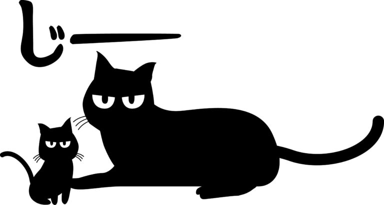 黒猫 2匹