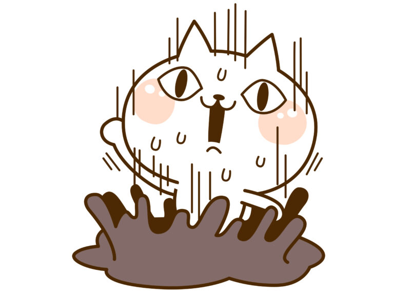 沼ねこ